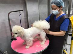 -宠福鑫康馨动物医院·骨科·眼科