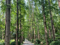-上海怡沁园度假酒店