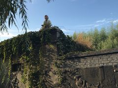 -白洋淀景区