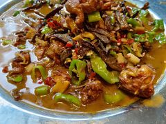 -俭寨大盘鸡·新疆菜·烧烤(博乐店)