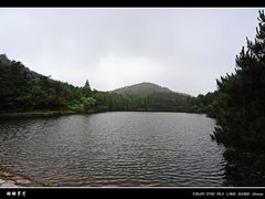-四明山国家森林公园