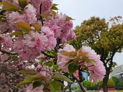 -江南大学(蠡湖校区)