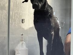 -宠福鑫康馨动物医院·骨科·眼科