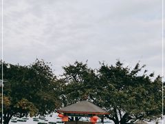 -抚仙湖禄充风景区
