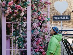 -京北渔家傲