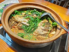 秘制水库鱼头-九道菜有鸡鱼头(石鼓路店)
