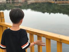 -中国西峡恐龙遗迹园