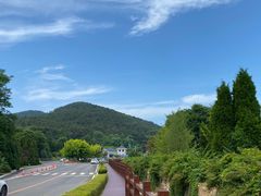 -棒棰岛宾馆景区