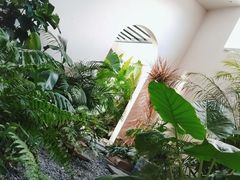 -漫笙舍Manse·咖啡·民宿