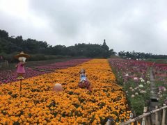 -东部华侨城