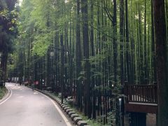 -山王坪喀斯特国家生态公园
