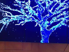 -新石器烤肉(南站店)