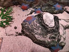 -沈阳海洋探索中心