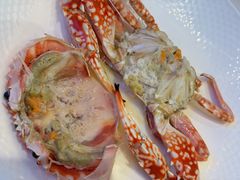 -不仔客海鲜·烧烤·270度海景餐厅(大东海店)