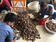 -东戴河风景区-止锚湾