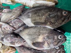 -木柴豆腐·活海鲜·鲁菜