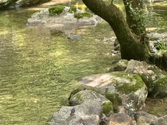-牛背梁国家森林公园