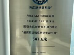 -平安金融中心云际观光层