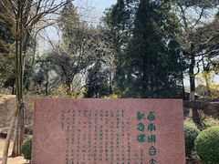 -清华大学-甲所餐厅