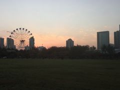 -万绿园
