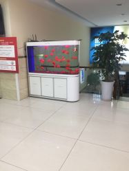 -成都军建医院·疤痕诊疗中心