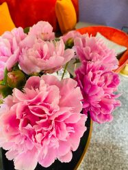 -花隐·美芙炫海菲秀皮肤管理中心