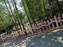 -贵州森林野生动物园