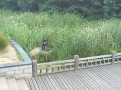 -蠡湖中央公园