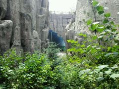 android_upload_pic-成吉思汗公园