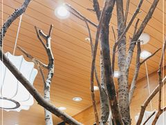 -茶颜悦色(登高路上店)