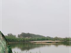 -东郊湿地公园