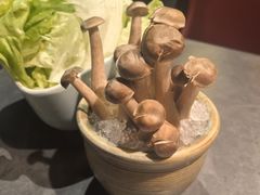 -牛村来人潮汕牛肉火锅(西单店)