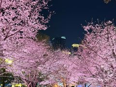-西北湖绿化广场