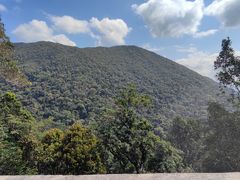 -海南热带雨林国家公园吊罗山景区