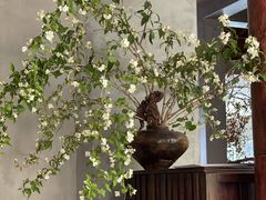 -曲廊院(东四十一条店)