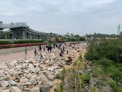 -宝安西湾红树林湿地公园