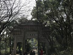 -灵岩山风景区