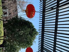 -荷风细雨·中国茶宴(碧云店)