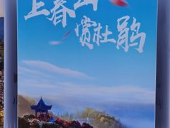 -贵州百里杜鹃风景名胜区