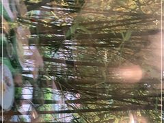 -荷风细雨·中国茶宴(碧云店)