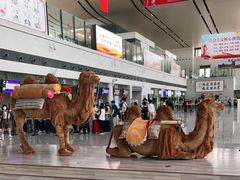 -敦煌莫高国际机场