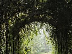 -合肥滨湖国家森林公园