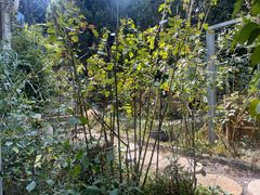 -谷咖啡·鲜花绿植花园餐厅