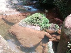 -赤水丹霞旅游区·佛光岩