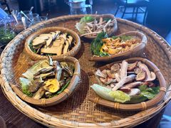 -滇野云南野生菌餐厅(陕西南路店)