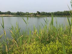 -东郊湿地公园