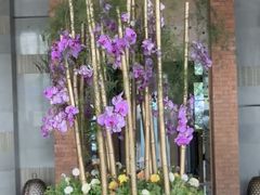 -浅深Cheersum(曹杨店)