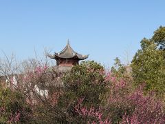 -观潮胜地公园