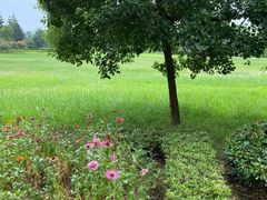 -福建鲤鱼洲酒店