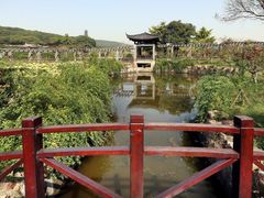 -龙寺生态园